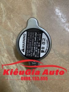 Banphutungoto.vn - NẮP KÉT NƯỚC KIA PRIDE - 2533017000-1