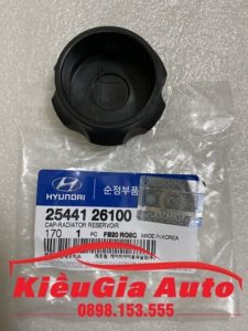 Banphutungoto.vn - NẮP BÌNH NƯỚC PHỤ HYUNDAI TUCSON - 2544126100-11