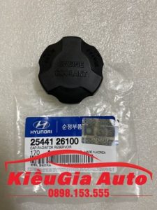 Banphutungoto.vn - NẮP BÌNH NƯỚC PHỤ KIA CERATO - 2544126100-3
