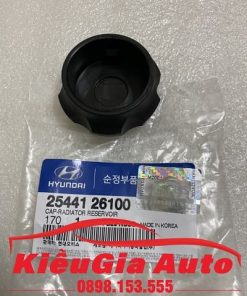 Banphutungoto.vn - NẮP BÌNH NƯỚC PHỤ HYUNDAI I10 GRAND - 2544126100-13