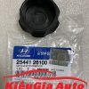 Banphutungoto.vn - NẮP BÌNH NƯỚC PHỤ HYUNDAI SANTAFE - 2544126100-12