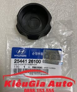 Banphutungoto.vn - NẮP BÌNH NƯỚC PHỤ HYUNDAI TUCSON - 2544126100-11
