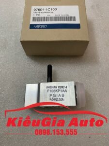 Banphutungoto.vn - VAN TIẾT LƯU HYUNDAI I10 GRAND - 976041C100-1