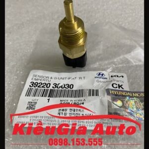 Banphutungoto.vn - CẢM BIẾN NHIỆT ĐỘ NƯỚC HYUNDAI GETZ - 39220-38030-9