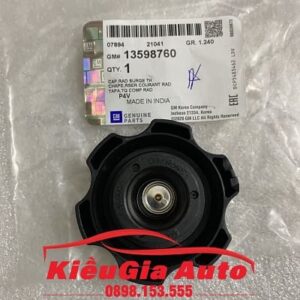 Banphutungoto.vn - NẮP BÌNH NƯỚC PHỤ DAEWOO LACETTI CDX - 13598760-1