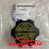 Banphutungoto.vn - NẮP BÌNH NƯỚC PHỤ DAEWOO LACETTI SE - 13598760-2