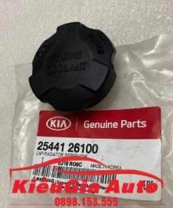 Banphutungoto.vn - Nắp bình nước phụ Hyundai Porter 2 - 2544126100-20