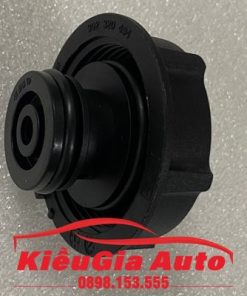 Banphutungoto.vn - Nắp bình nước phụ Ford Ecosports - 3M5H8100AD.3