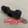 Banphutungoto.vn - Cảm biến trục cam Chevrolet Aveo - 96253544.2