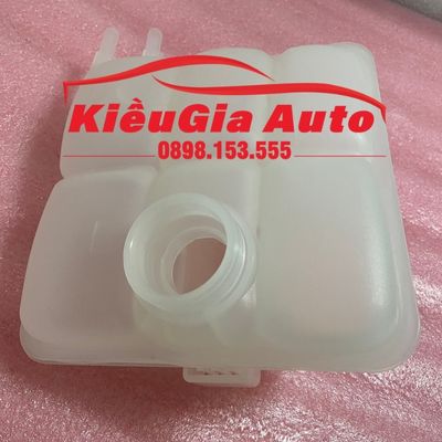 Bình nước phụ Ford Focus 2005-2012