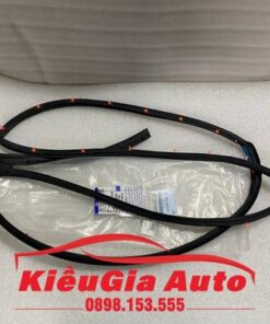 Gioăng cánh cửa Hyundai i10 Grand 2018-2020