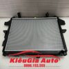 Két nước Kia K300S 2016-2019