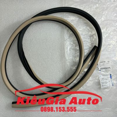 Gioăng khung thân xe Daewoo Gentra 2005-2009 Gioăng khung thân xe Daewoo Gentra 2005-2009